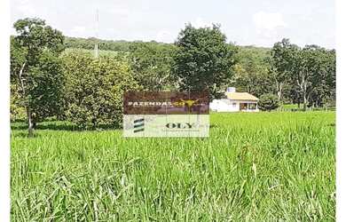 Imagem 5: Fazenda Extra Região São Miguel do Araguaia 75 Alqueires