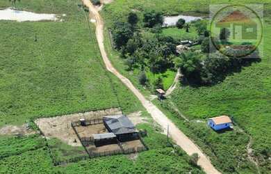 Imagem 4: Fazenda à venda, 169 ALQUEIRES0 por R$ 10.140.000 - Centro - Jacundá/PA