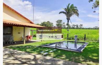 Imagem 6: Fazenda Extra Região São Miguel do Araguaia 75 Alqueires