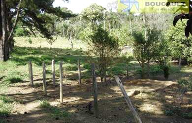 Imagem 9: Sítio com 4 dormitórios à venda, 41961 m² por R$ 4.000.000,00 - Caucaia...