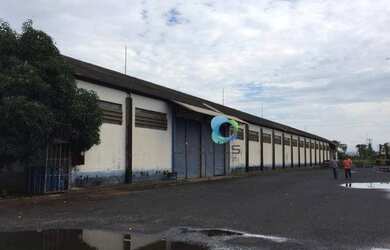 Imagem 6: Galpão industrial para locação, Adelino Simioni, Ribeirão Preto