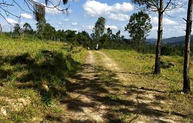 Imagem: O terreno possui 1.000m² de Área e está localizado em Centro