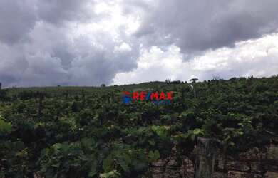 Imagem 16: Sítio à venda, 1351 m² por R$ 6.575.000,00 - Rural - Itupeva/SP