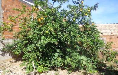 Imagem 10: Lote/Terreno para venda possui 200 metros quadrados em Ceilândia Norte...