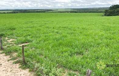 Imagem 6: Fazenda à venda, 7200000 m² por R$ 4.200.000,00 - Zona Rural - Pedro...