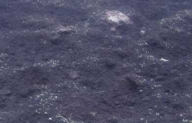 Imagem 16: Fazenda região de poconé