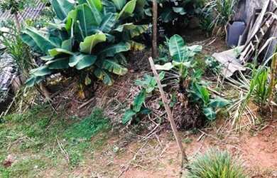 Imagem 8: Casa à venda por R$ 700.000 - Vila Engenho Novo - Barueri/SP