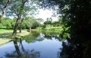 Imagem 6: Terreno à venda, 2800 m² por R$ 372.000,00 - Bosques do Sul - Gravataí/RS