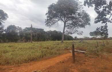 Imagem: A fazenda possui 1000m² de Área e está localizado em Centro