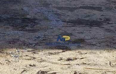 Imagem: O terreno possui 360m² de Área e está localizado em Jardim