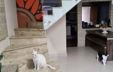 Imagem 6: Sobrado à venda, 208 m² por R$ 560.000,00 - Jardim Altos de Santana...