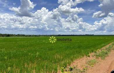 Imagem 12: Fazenda 2.420 Hectares no Vale do Araguaia - Tocantins