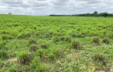 Imagem 13: Fazenda à venda, 7200000 m² por R$ 4.200.000,00 - Zona Rural - Pedro...