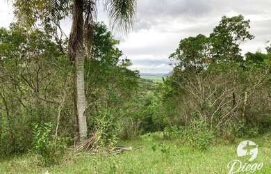 Imagem 5: Terreno à venda, 7106 m² por R$ 640.000,00 - Ressacada - Garopaba/SC