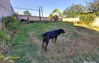 Imagem 5: Terreno à venda, 465 m² por R$ 395.000,00 - Pinheiros - Londrina/PR