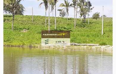 Imagem 3: Fazenda Extra Região São Miguel do Araguaia 75 Alqueires