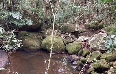 Imagem 4: Terreno à venda, 7106 m² por R$ 640.000,00 - Ressacada - Garopaba/SC