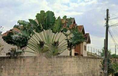 Imagem 2: Terreno à venda, 465 m² por R$ 395.000,00 - Pinheiros - Londrina/PR