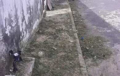 Imagem 1: Terreno Zumbi. 300m² de Área