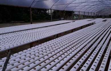 Imagem 1: Terreno novo Airão agricultura