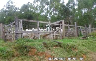 Imagem 7: 2449 - Ótima Fazendinha de 32 HA, limpa formada, em ótimo local com...