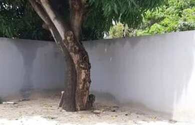 Imagem 3: Aluguel de casa por temporada diária, mensal