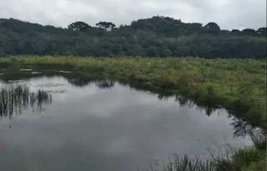 Imagem: A chácara possui 12.000m² de Área e está localizado em