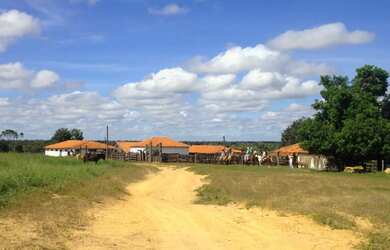 Imagem 8: Oportunidade Fazenda pecuária de 1.186 hectares com aptidão para Usina...