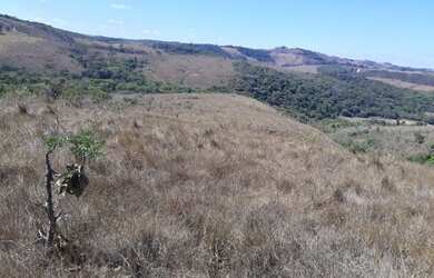 Imagem 12: Terreno 107 Hectares em São Tiago Ótimo Preço