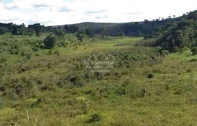 Imagem 3: Novo Cruzeiro - Fazenda - Zona Rural