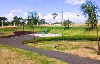 Imagem 15: Terreno à venda, 250 m² por R$ 335.000 - Jardim Montecatini - Londrina/PR