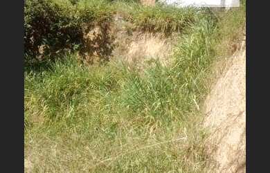 Imagem 4: Terreno residencial à venda, Engenheiro Goulart, São Paulo