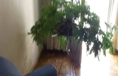 Imagem 6: Casa à venda, 140 m² por R$ 880.000,00 - Tatuapé - São Paulo/SP