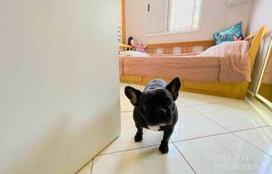 Imagem 13: VENDA APARTAMENTO MOOCA. Piscina, Churrasqueira, Imóvel mobiliadoeAr-condicionado