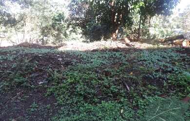 Imagem 4: Terreno à venda, 755 m² por R$ 320.000,00 - GRANJA VIANA ÁGUAS DA FAZENDINHA...