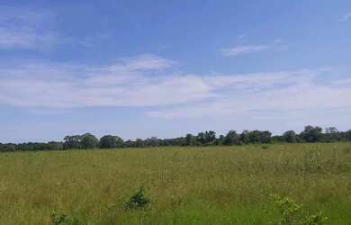 Imagem 4: Fazenda região de poconé