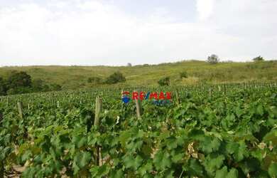 Imagem 6: Sítio à venda, 1351 m² por R$ 6.575.000,00 - Rural - Itupeva/SP