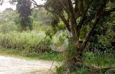 Imagem 6: Terreno à venda, 516 m² por R$ 75.000,00 - Jardim Atlântico Oeste Itaipuaçu...