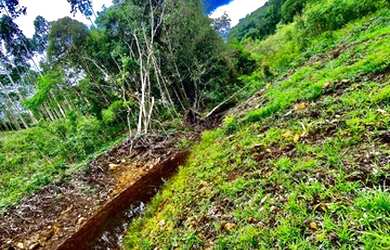 Imagem 3: Belíssimo sítio de 5.3 hectares em Urussanga