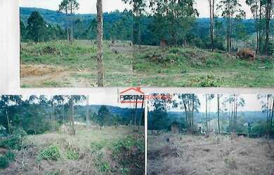 Imagem 2: Terreno à venda, 1550 m² por R$ 380.000,00 - Granja Viana - Embu das...