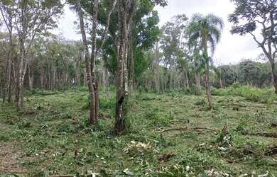 Imagem: O terreno possui 1000m² de Área e está localizado em Centro