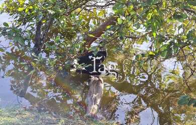 Imagem 8: Terreno à venda, 1188 m² por R$ 354.000,00 - Condomínio Terras de São...