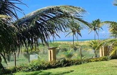 Imagem 16: Lote Beira-Mar à venda em Jacumã/RN - Litoral Norte