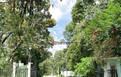 Imagem: O terreno possui 2.500m² de Área e está localizado em Roseira