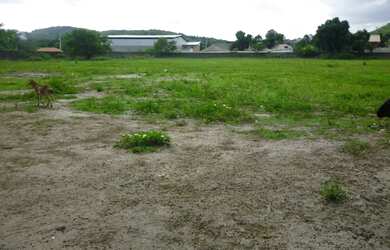 Imagem 2: TERRENO EM GUARATIBA COM 25.000m²