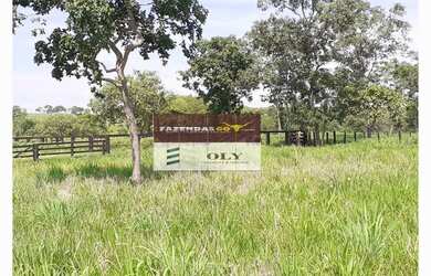 Imagem 9: Fazenda Extra Região São Miguel do Araguaia 75 Alqueires