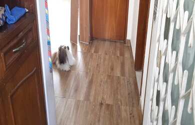 Imagem 3: APARTAMENTO RESIDENCIAL em RIO DE JANEIRO - RJ, GLÓRIA