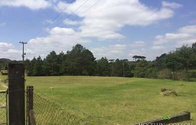 Imagem 3: Galpão, 800 m² - venda por R$ 2.500.000,00 ou aluguel por R$ 14.000,00/mês...