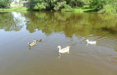 Imagem 8: Terreno à venda, 2800 m² por R$ 372.000,00 - Bosques do Sul - Gravataí/RS