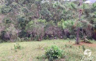 Imagem 3: Terreno à venda, 7106 m² por R$ 640.000,00 - Ressacada - Garopaba/SC